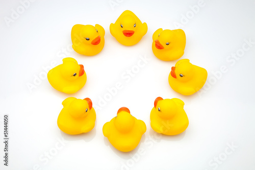 patos amarillos