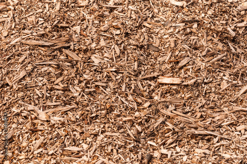 Closeup of a heap of woodchips from shredded trees