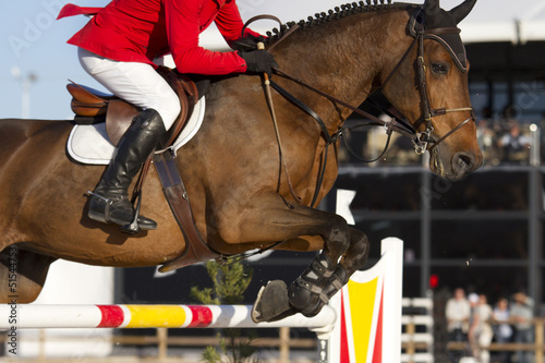 Rider and horse in equestrian jumping obstacles on Show course