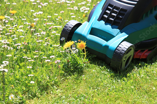 cortando hierba con el cortacesped primavera jardinería jardín 3871f