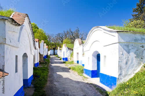 wine cellars, Petrov - Plze, Czech Republic