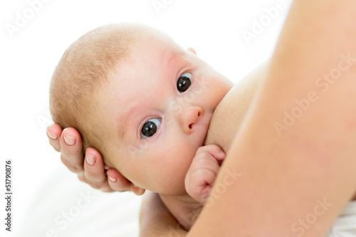 infant baby girl is suckling