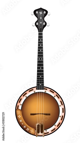 A Beautiful Brown Banjo on White Background