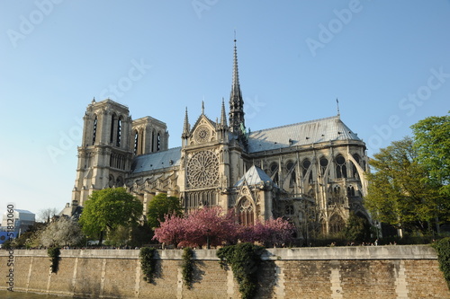 Notre Dame z Paryża