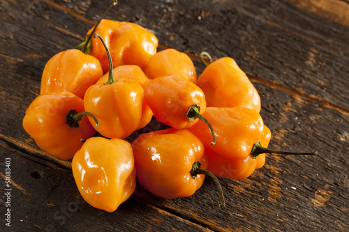 Organic Hot and Spicy Habanero Peppers