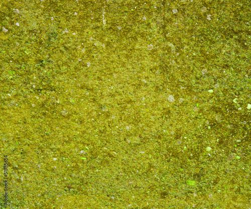 Grunge Green Concrete Background