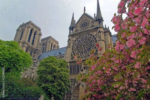 Spring trees at Notre Dame