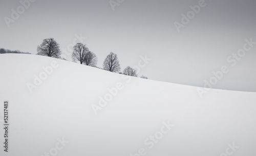 simple winter landscape with snow and trees