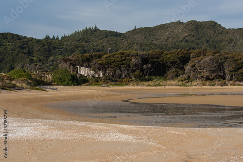 Awaroa bay at low tide, Abel Tasman National Park