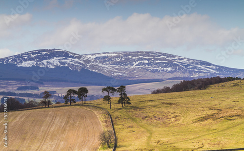 Cheviot Hills, Northumbria, UK