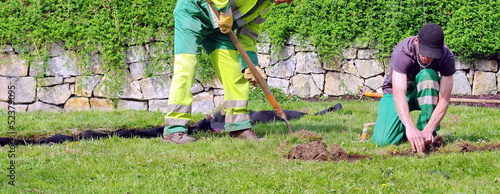 engazonnement d'un parc