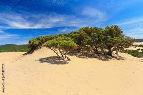 Piscinas dune - Sardinia, Italy