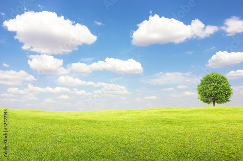 Green field and tree with blue sky clouds