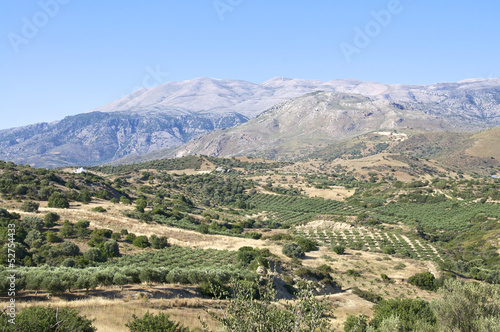Berge und Landschaft mit Olivenbäumen auf Kreta