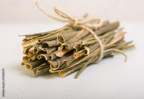 Willow bark medical