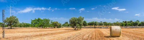 Sheaves of straw, Apulia region