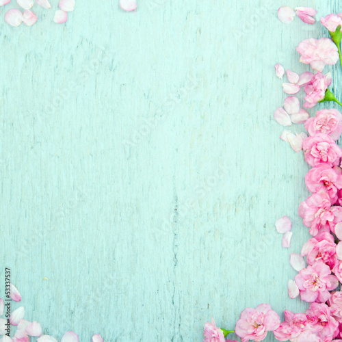 Blue wooden background with pink flowers
