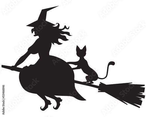 Witch on a broom and cat