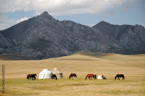 Shepherds Yurt tent with horses, Kyrgyzstan mountain scenery