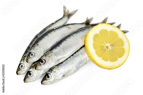 five sardines