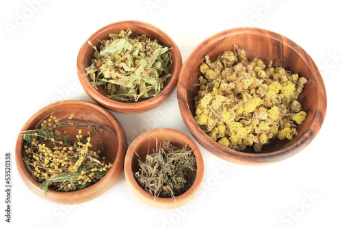 Medicinal Herbs in wooden bowls isolated on white