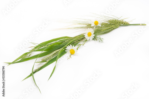 bukiet kwiatów polnych i zbóż