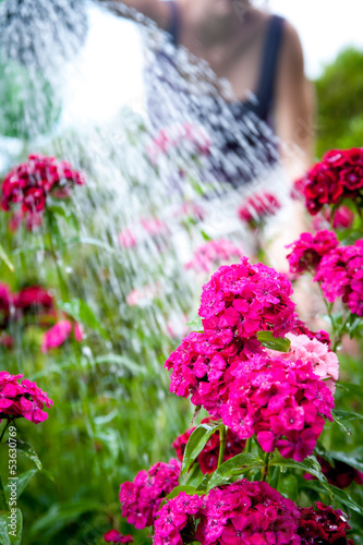 Girl watering purple flowers on garden