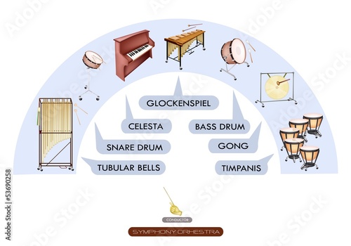 Seating Chart of Percussion Instrument for Symphonic Band