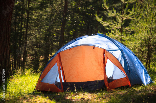 forest with tent