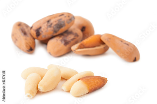 Pine nuts isolated