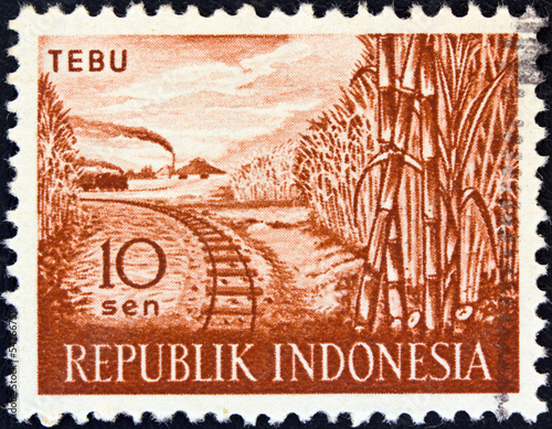 Sugar cane (Indonesia 1960)