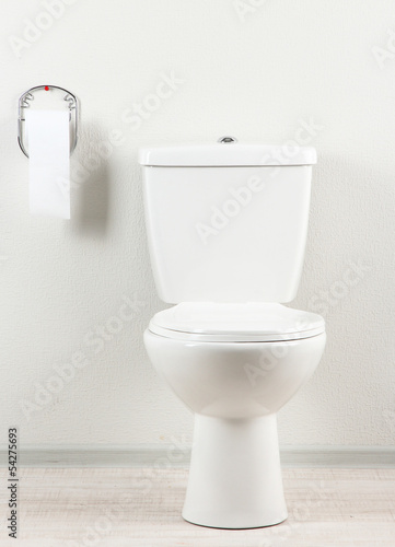 White toilet bowl and toilet paper in a bathroom
