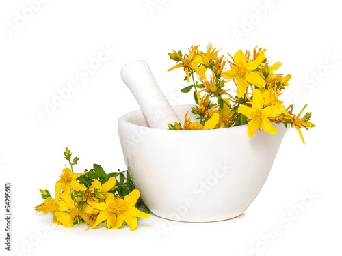 St. John's wort flowers in medical mortar on a white background