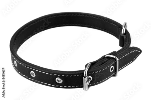black leather dog collar isolated on white background