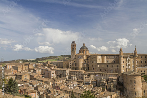 Urbino