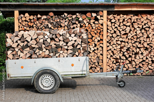 Hänger und Unterstand mit Brennholz, firewood