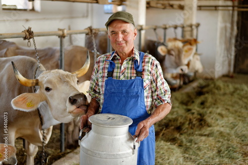 Farmer is working on the organic farm with dairy cows