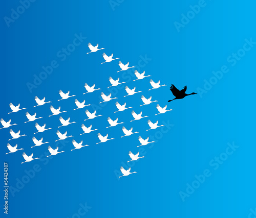 Leadership Synergy Concept Swans flying - deep blue sky - arrow