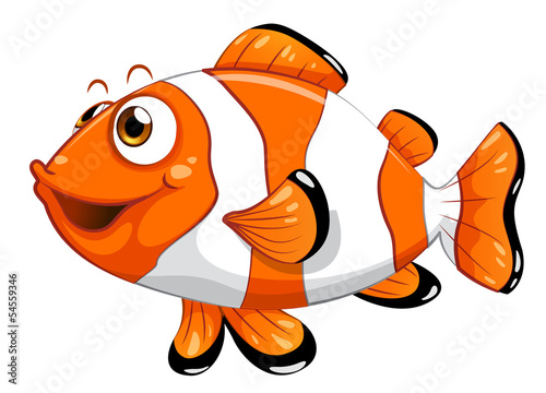 A nemo fish