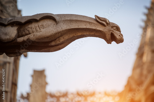 Gargoyle sculpture, Notre Dame Cathedral