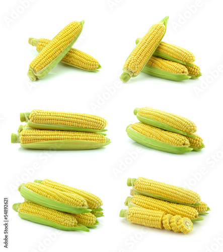 Kukurydza na białym tle