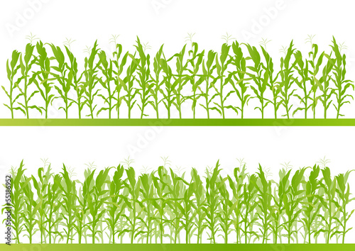 Corn field detailed countryside landscape illustration backgroun