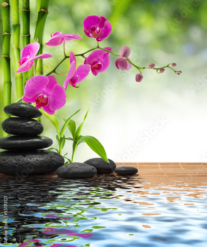 composition bamboo-purple orchid-black stones