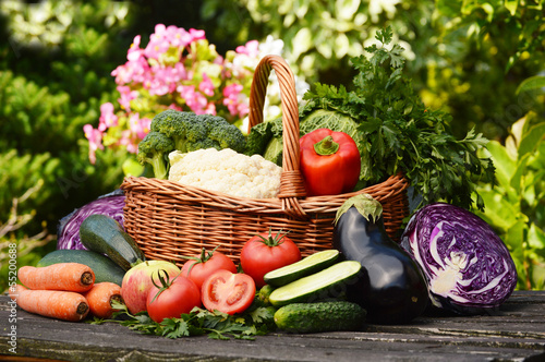 Fresh organic vegetables in the garden