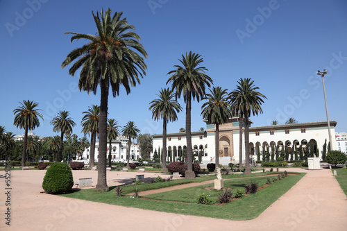 Square with palm trees in Casablanca, Morocco, North Africa