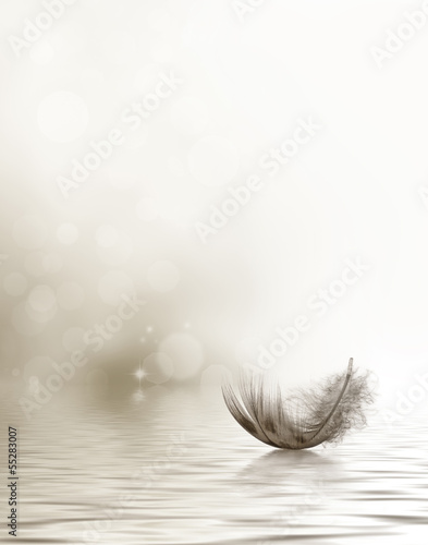 Drifting feather condolence or sympathy card in black and white