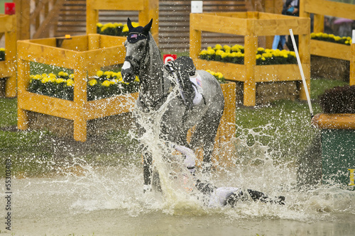 Reiter stürzt ins Wasser