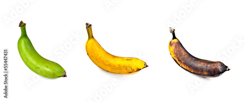 Plantain – Three Stages of Ripeness