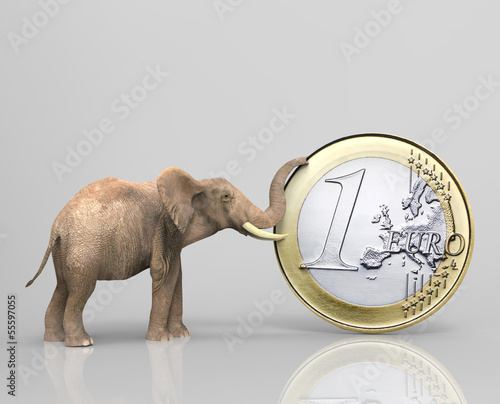 Elefante con moneda euro