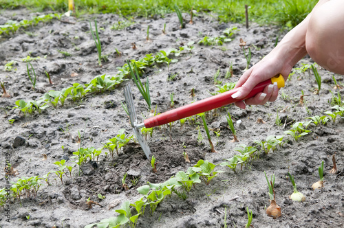 Gartenarbeit